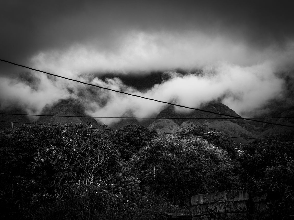 lapalma_bn-004_low