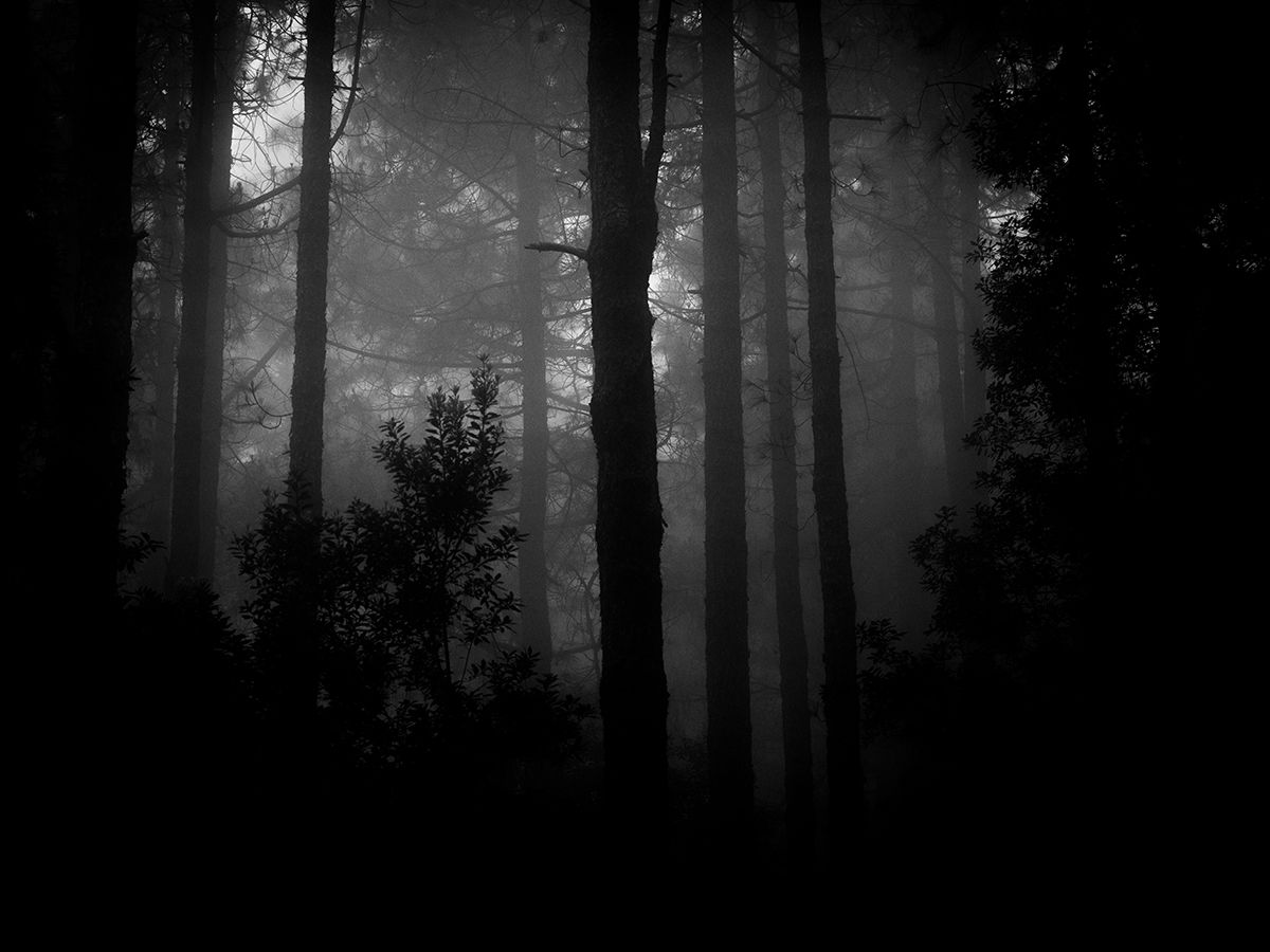 lapalma_bn-006_low